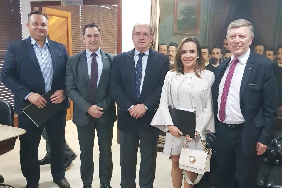 WhatsApp Image 2019 06 19 at 17.42.40 1 960x640 - Alesc recebe pleito do Comit&ecirc; de Defesa da Competitividade dos Produtos e Servi&ccedil;os Catarinenses sobre incentivos fiscais