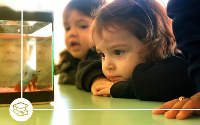 foto sesc - Nova diretoria da Fecom&eacute;rcio SC ser&aacute; empossada nesta ter&ccedil;a-feira (9)