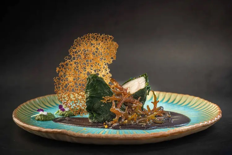 alga - Parceria entre Senac SC e Epagri estuda alga para uso na gastronomia