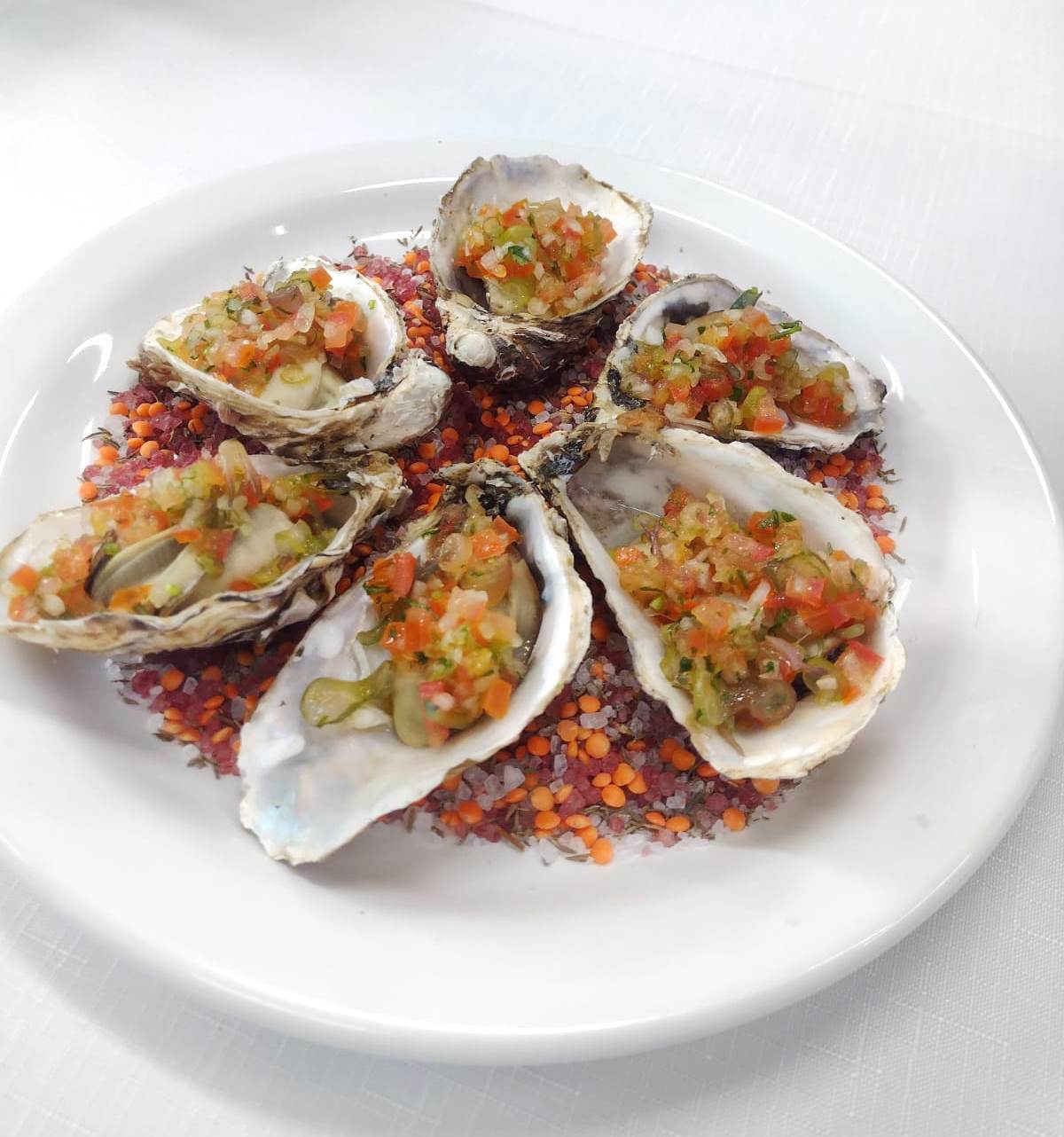 WhatsApp Image 2022 11 25 at 17.56.22 - Projeto Macroalgas, parceria entre Senac SC e Epagri, &eacute; lan&ccedil;ado oficialmente