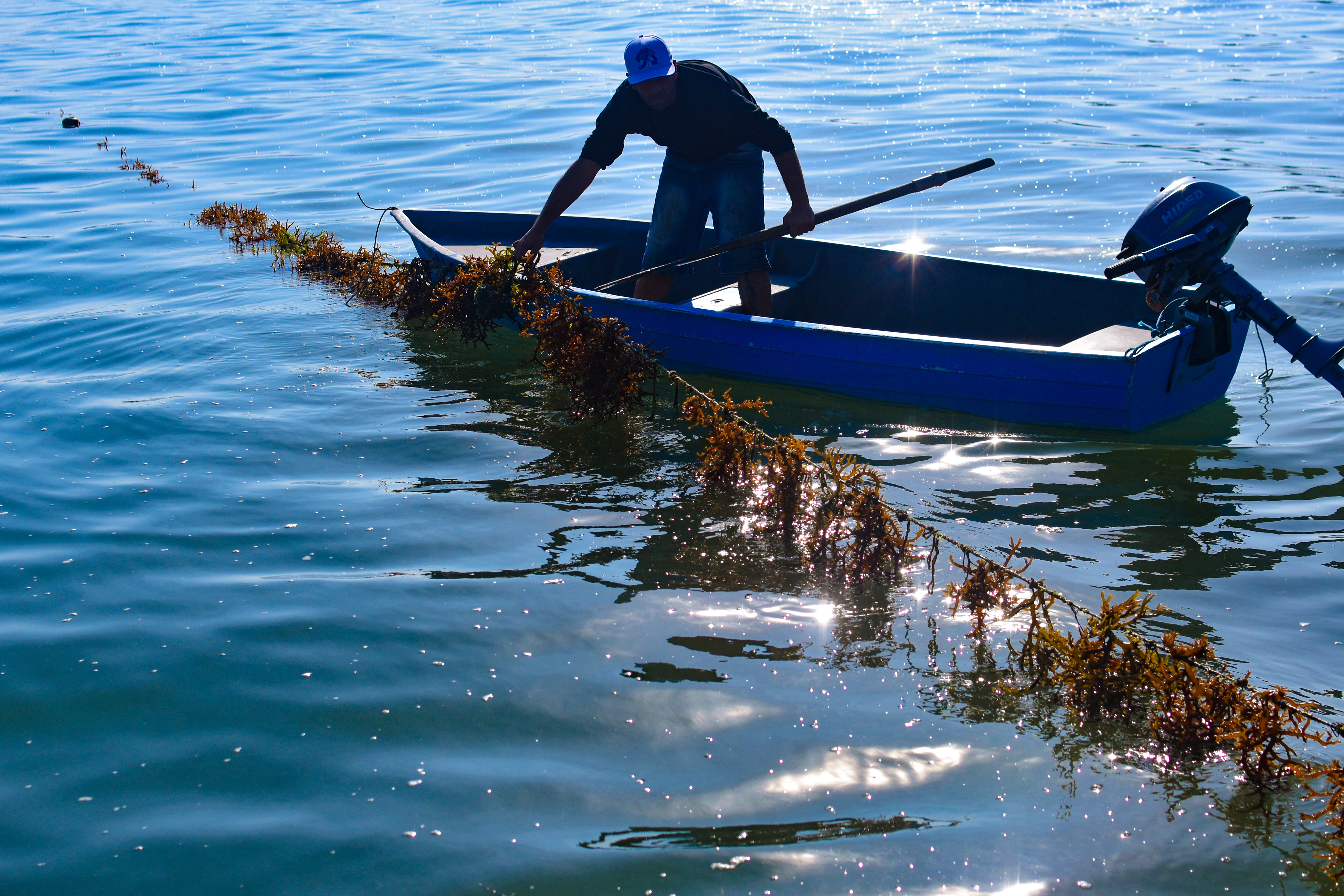 Segundo dia do Encontro Cidades Criativas Unesco da Gastronomia é marcado por uma imersão na cultura e na gastronomia de Florianópolis KAL 8707 - Segundo dia do Encontro Cidades Criativas Unesco da Gastronomia é marcado por uma imersão na cultura e na gastronomia de Florianópolis