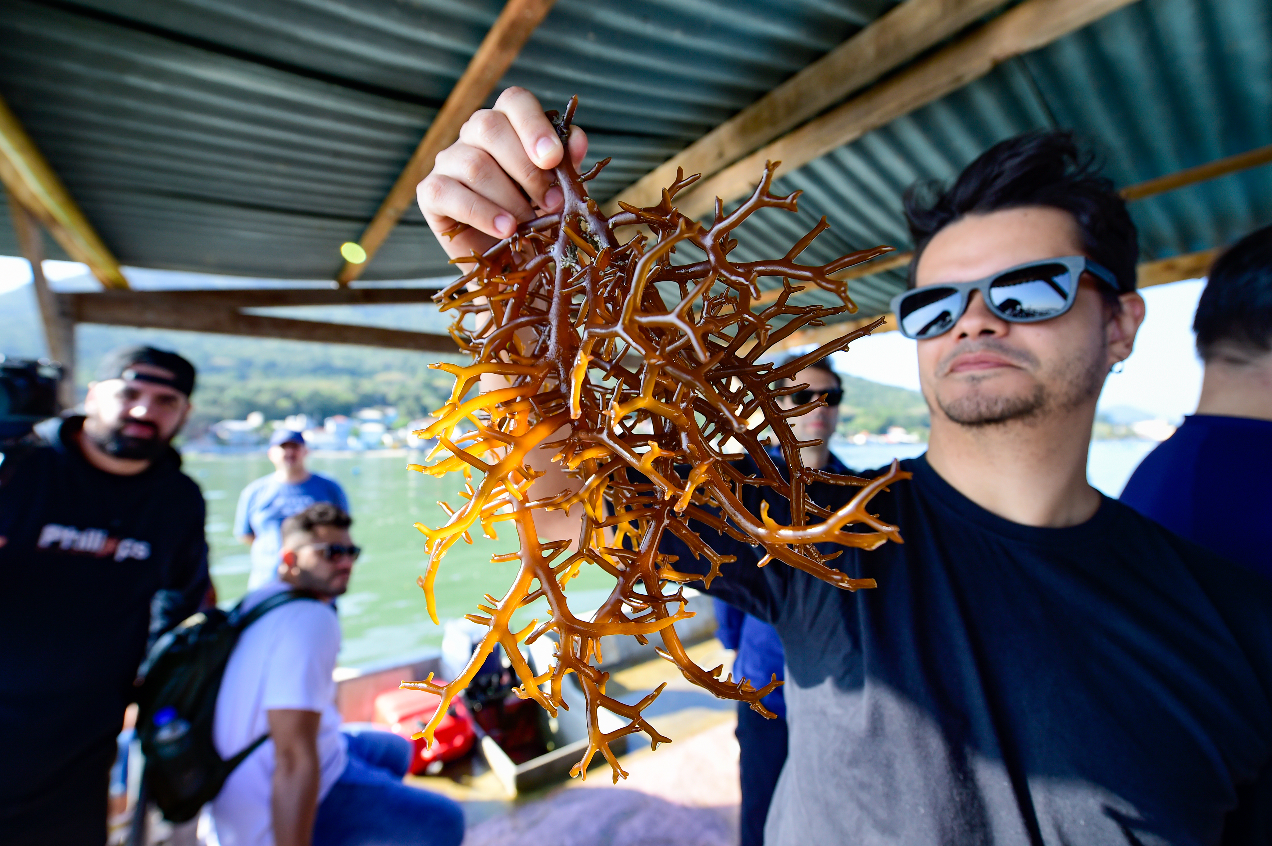 Segundo dia do Encontro Cidades Criativas Unesco da Gastronomia é marcado por uma imersão na cultura e na gastronomia de Florianópolis MAF4559 - Segundo dia do Encontro Cidades Criativas Unesco da Gastronomia é marcado por uma imersão na cultura e na gastronomia de Florianópolis