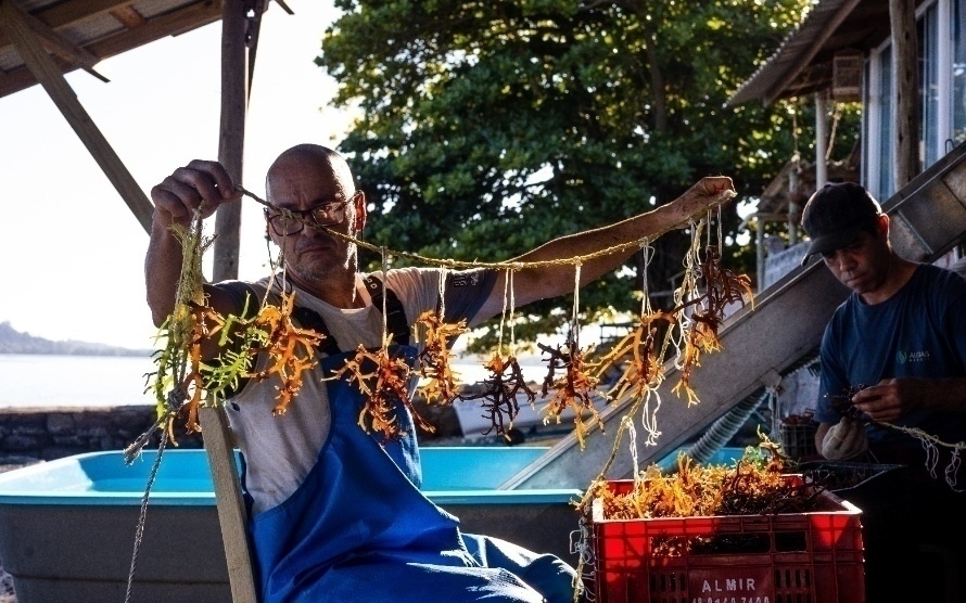 É amanhã! Começa nesta quinta-feira o Encontro Brasileiro Cidades Criativas Unesco da Gastronomia institucional imagem pq Institucional id 12070 - É amanhã! Começa nesta quinta-feira o Encontro Brasileiro Cidades Criativas Unesco da Gastronomia